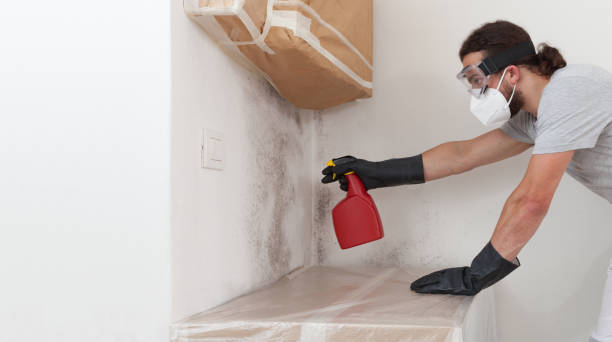 Professional Hvac And Air Duct Mold Remediation technician working in Riverton, IL